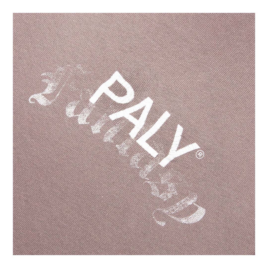 Paly Hollywood Core Logo Faded Brown Tee Jersey