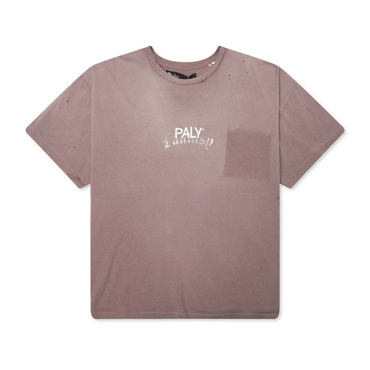 Paly Hollywood Core Logo Faded Brown Tee Jersey