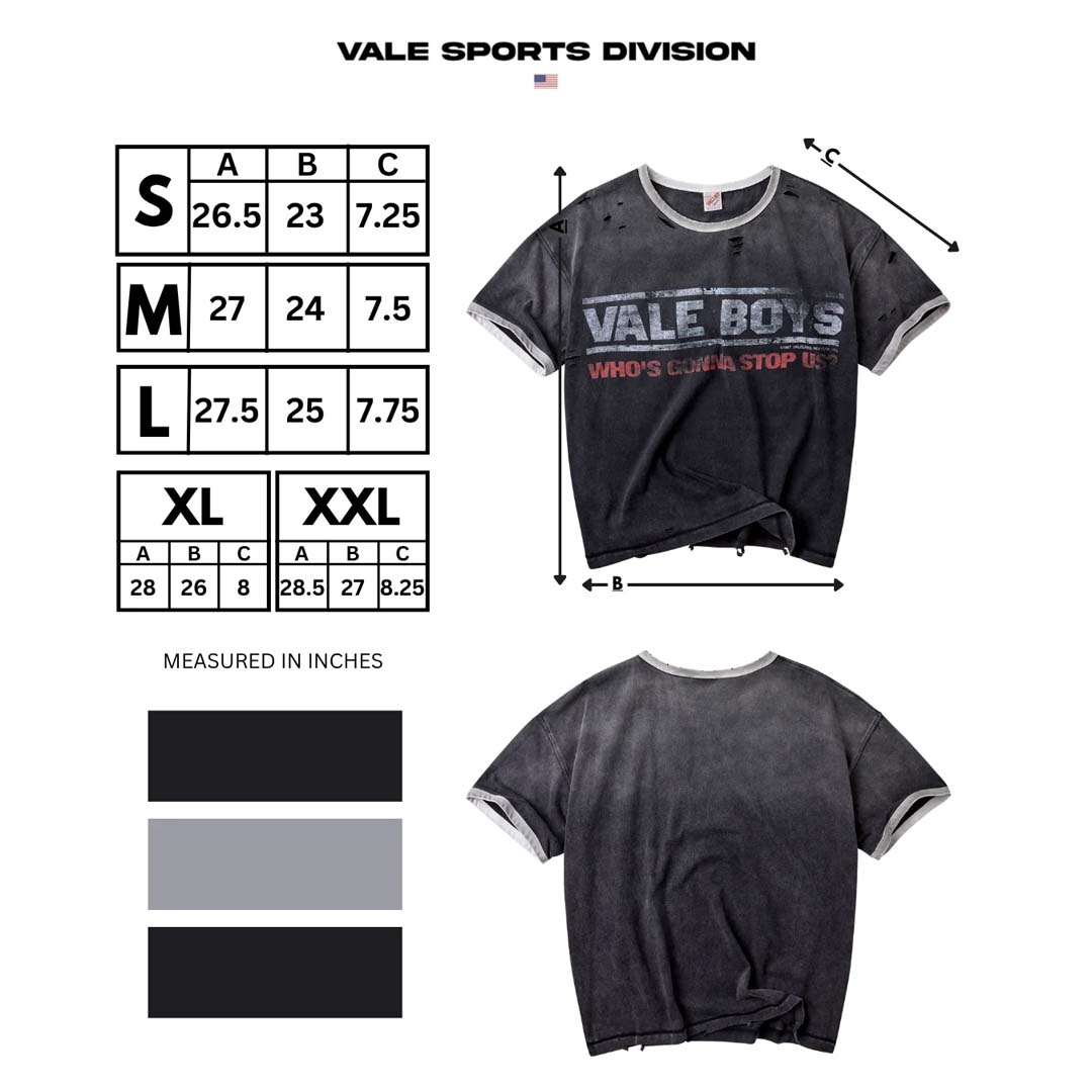 Vale Forever Oreo Ringer Tee Faded Black Grey