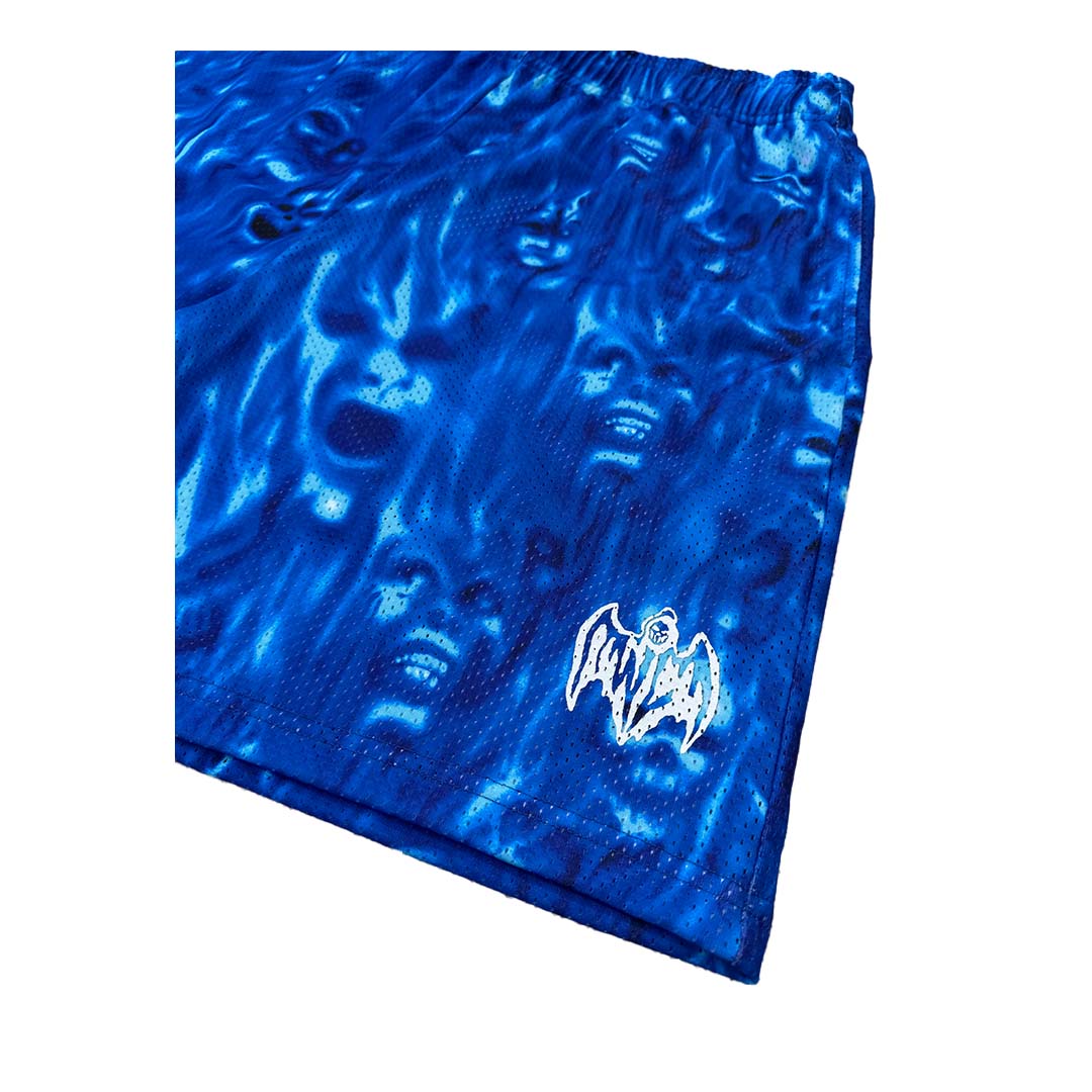 Warren Lotas Skulls Blue Mesh Shorts